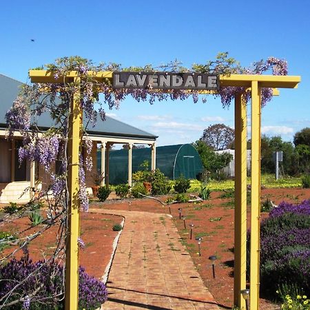 Lavendale Country Retreat Villa York Luaran gambar